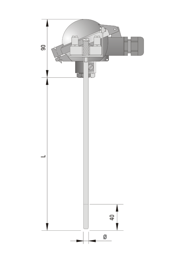 Temperature sensor TP-Exi-461_463